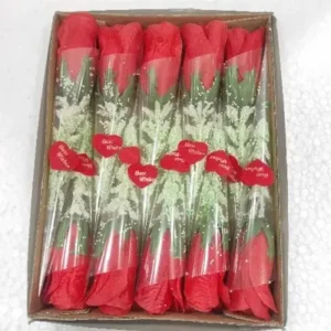 Home angel musical girl